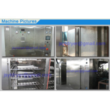 Hot Sale Sterile Drying Oven